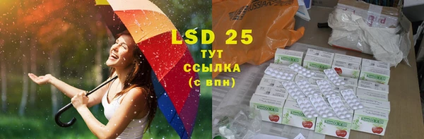 ПСИЛОЦИБИНОВЫЕ ГРИБЫ Белоозёрский