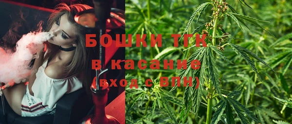ПСИЛОЦИБИНОВЫЕ ГРИБЫ Белоозёрский