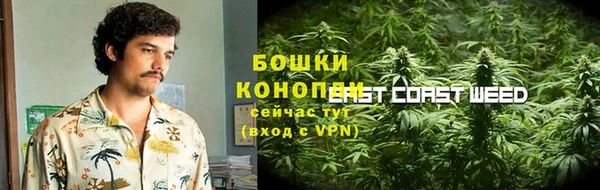 ПСИЛОЦИБИНОВЫЕ ГРИБЫ Белоозёрский