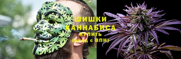ПСИЛОЦИБИНОВЫЕ ГРИБЫ Белоозёрский