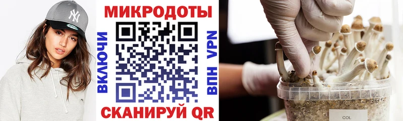 Галлюциногенные грибы Cubensis  Когалым 